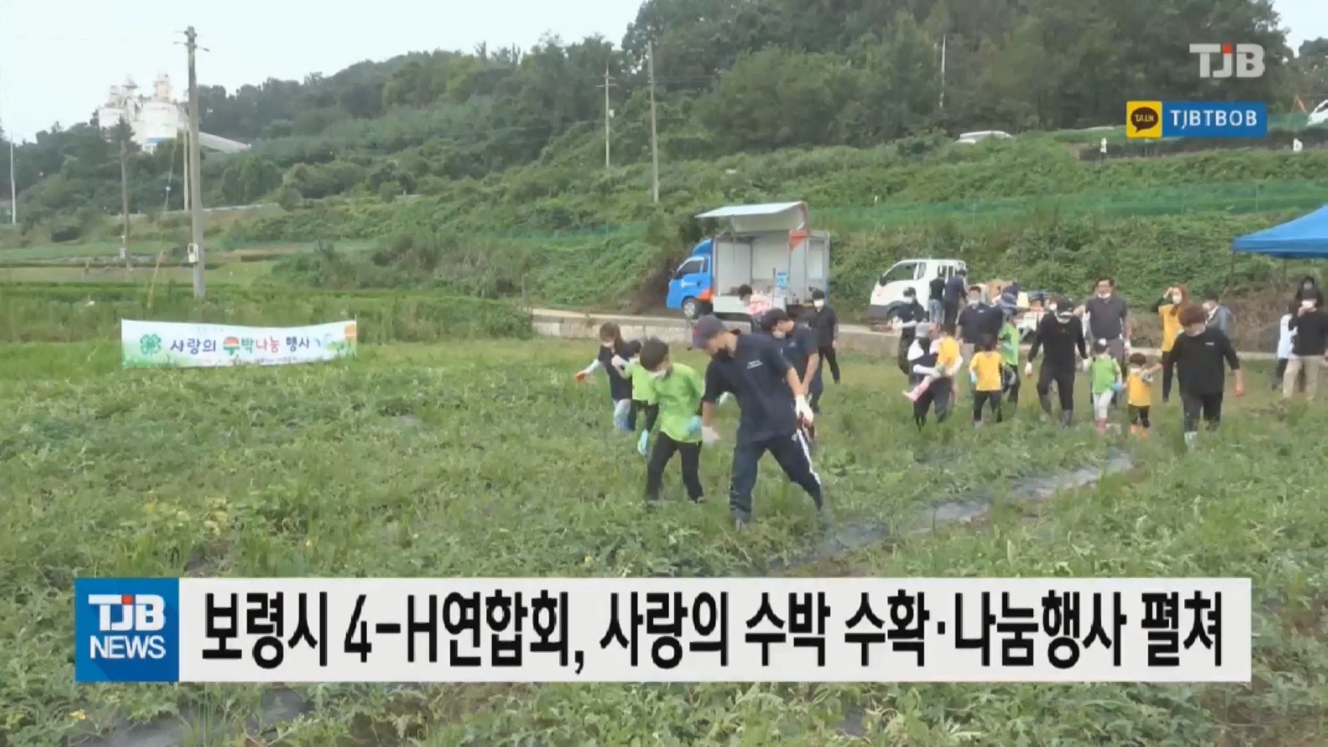 [0806 TJB 뉴스] 4-H연합회 사랑의 수박 수확 및 나눔행사